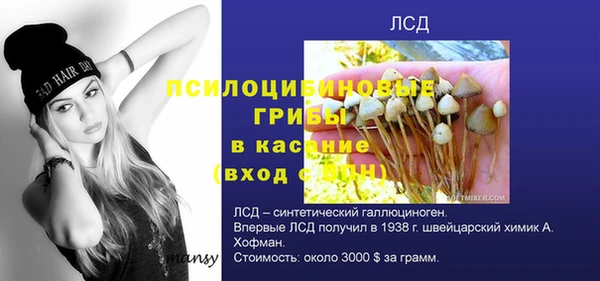 каннабис Алексеевка