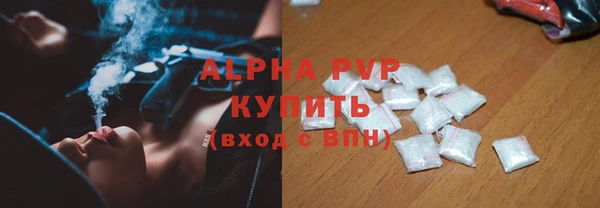 стаф Алексин