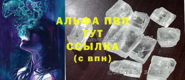 стаф Алексин