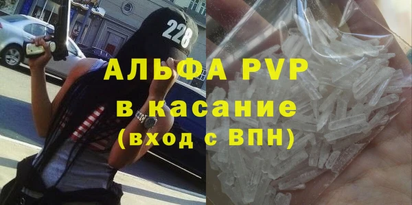стаф Алексин