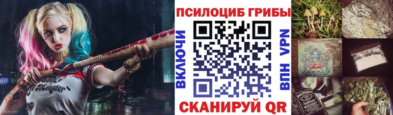 Псилоцибиновые грибы мицелий  Боготол 